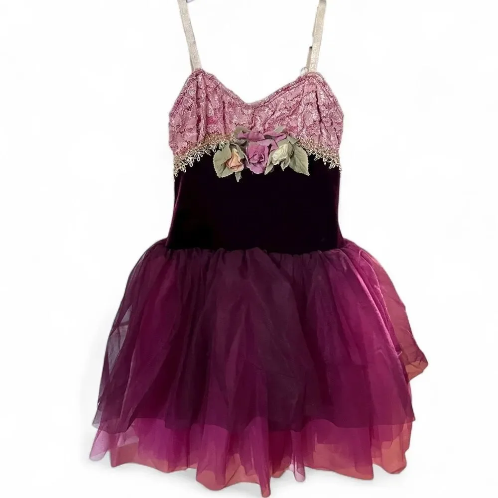 Curtain Call Velvet Tulle Fairy Costume Dress